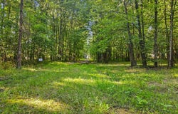 Patterson Road, Tate Twp, OH 45106