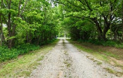 2950 Cr 2600, Independence, KS 67301