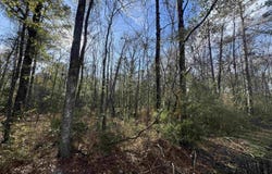 Joe Lee Rd lot: 4-A, Walker, LA 70785