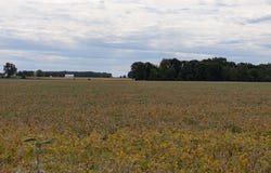 6571 W Saint Charles Road, Sumner, MI 48801