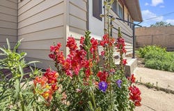 1206 E 6th St, Pueblo, CO 81001