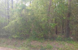 E Newton Street, Bay Saint Louis, MS 39520