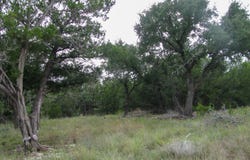 PR 42101 lot: 106 Ph 6, Evant, TX 76525