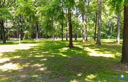 437 Doggett Lane, Lancaster, VA 22503