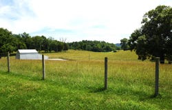 6295 Irish Bottom Rd, Tract #3, Burkesville, KY 42717