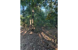 Skylark Road, Washburn, MO 65772