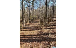 821 SUNSHINE AVENUE lot: 0, ONEONTA, AL 35121
