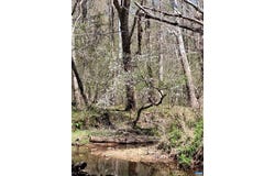 RIDGE RD lot: 3, PALMYRA, VA 22963