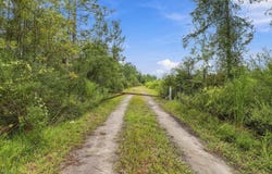 DOC SMITH Road, BRONSON, FL 32621