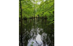 1085 Stage Coach Rd, Pelham, GA 39828