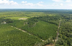 4920 Richardson Rd, Molino, FL 32577