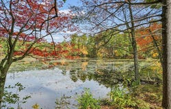 3 Moeckel Road, Windham, NH 03087
