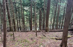 1.7 Tannery Rd, Western, NY 13486