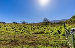Calasa Rd, Kula, HI 96790