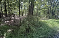 Johns Rd 549, Effort, PA 18330