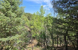 TBD L Bird Point Dr, Cotopaxi, CO 81223