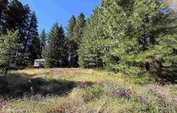 2 Lots on Hercules, Mount Shasta, CA 96067