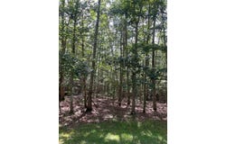 222 Mountain Laurel, DANIELS, WV 25832
