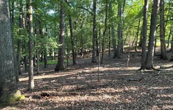 BROADHEAD SCHOOL RD, MIDDLEBROOK, VA 24459