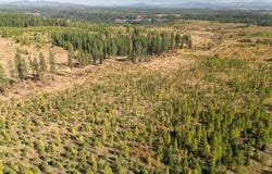 Timberline Heights, Parcel 2, Weippe, ID 83553