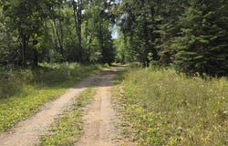 Grass Lake Trl, Rudyard, MI 49780
