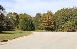 Wild Turkey, West Plains, MO 65775