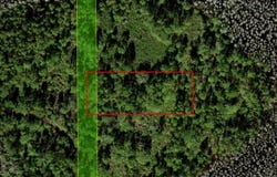 Old Grade Road, FL 33868