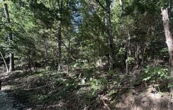 25210 SW Sonora Hardin Springs Road, Big Clifty, KY 42712