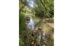 Cedar Park Road, Viola, AR 72583