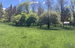 Cashway Road Lot 2, Kamiah, ID 83536