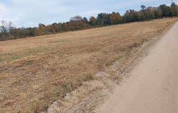 Davis Lane lot: 1, Mullins, SC 29574