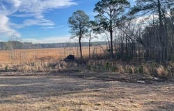 Hwy 301 S, Register, GA 30452