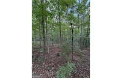 SERENITY, Cataula, GA 31804