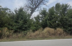 Black Forest Lane lot: 175, Branson West, MO 65737