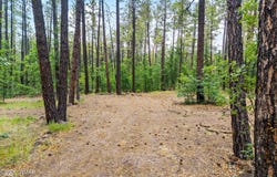 2094 Brown Bear Loop, Pinetop, AZ 85935