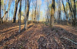 535 Collar Hill Road, Calais, VT 05648