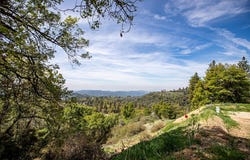 52865 N Highway 245, Miramonte, CA 93641