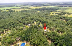 McAlpin, FL 32062