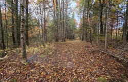 Murray Road lot: 27, Thorndike, ME 04986