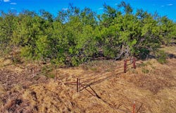 FM 172, Bluegrove, TX 76352