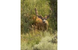 236 County Road 23C, Walden, CO 80480