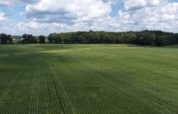 Boughtonville Rd E, Greenwich, OH 44837