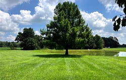 68 Seven Up Road, Bellflower, MO 63333