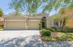 11334 BRIDGE PINE Drive, RIVERVIEW, FL 33569
