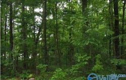 # 8th Avenue, Arab, AL 35016
