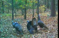 True Grit Trail, Pittsburg, OK 74540