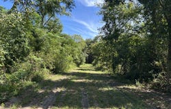 Jasper Lane, Summerton, SC 29148