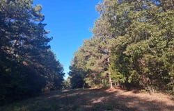 TBD Edmondson Rd lot: 6, Harleton, TX 75651