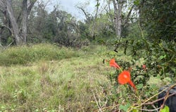 TBD 60th Terrace, Live Oak, FL 32060