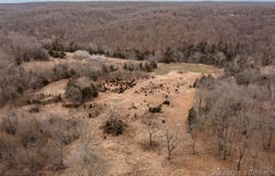 21657 Sawmill Road, Versailles, MO 65084